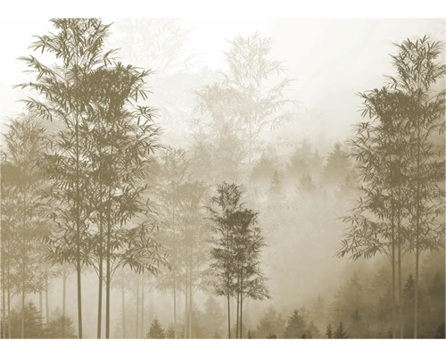 Papier peint avec motif de forêt dans le brouillard