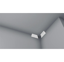 Deux profilés d'angle sur un plafond