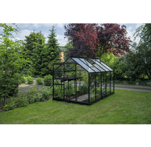 Serre de jardin avec plantes et étagères.