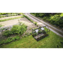 Serre de jardin avec pelouse
