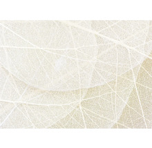 Gros plan de structures de feuilles filigranes