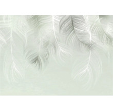 Papier peint à motif de plumes pour la décoration murale