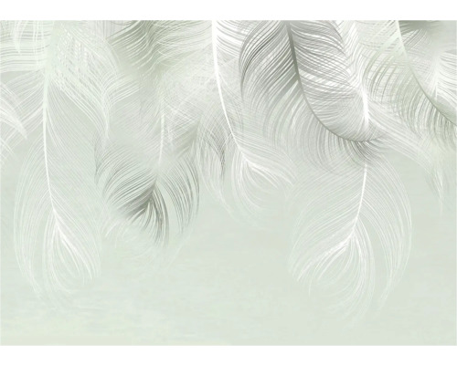 Papier peint à motif de plumes pour la décoration murale