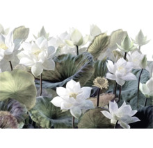 Illustration de fleurs et de feuilles de lotus