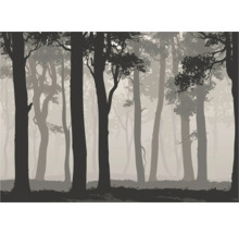 Illustration d'une forêt avec des arbres dans le brouillard