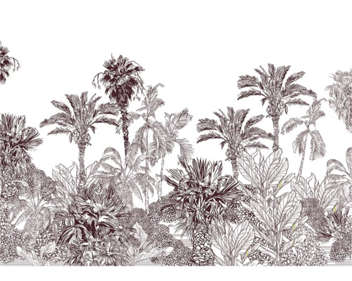 Illustration von Palmen und tropischer Vegetation