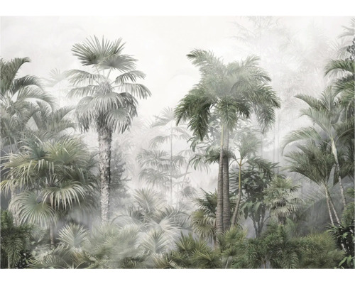 Forêt de palmiers tropicaux en décoration