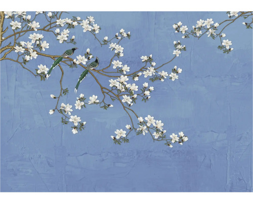 Illustration de branches fleuries et d'oiseaux sur fond texturé