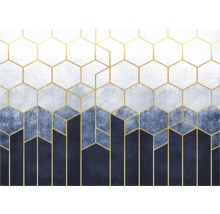Tapete mit geometrischem Muster aus Sechsecken und Linien