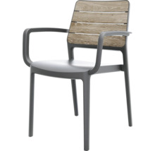 Chaise de jardin avec accoudoirs et aspect bois