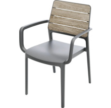 Chaise de jardin avec accoudoirs et aspect bois