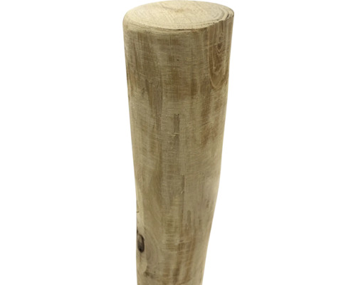 Holzstamm, Baumstamm