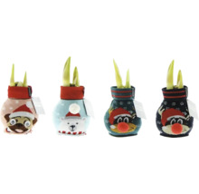 Vier Blumenzwiebeln im Übertopf mit Tiermotiv