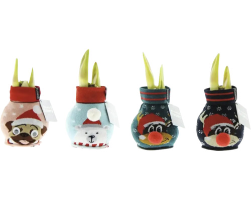 Vier Blumenzwiebeln im Übertopf mit Tiermotiv