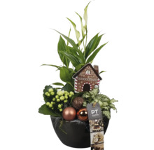 Blumenarrangement mit Friedenslilie, Kalanchoe, Weihnachtskugeln und dekorativem Lebkuchenhaus in einem Topf