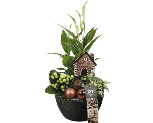 Blumenarrangement mit Friedenslilie, Kalanchoe, Weihnachtskugeln und dekorativem Lebkuchenhaus in einem Topf
