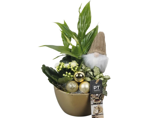 Composition avec différentes plantes, figurine de gnome et boules de Noël dans un cache-pot doré