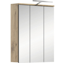 Armoire de toilette avec trois portes miroir et éclairage