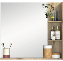 Armoire de toilette avec étagères pour accessoires de salle de bain