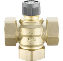 Messing Heizkörperventil mit Thermostatkopf