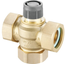 Messing Heizkörperventil mit Thermostatkopf