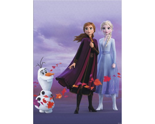 Tableau sur toile Disney La Reine des neiges automne 50x70 cm