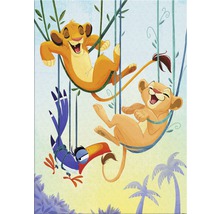Illustration de Simba, Nala et Zazu s''amusant sur des balançoires