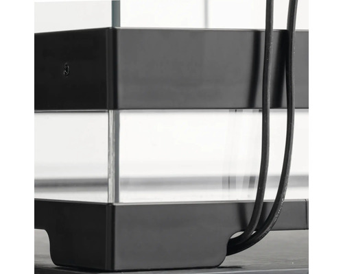 Detailansicht vun engem Aquarium mat Glas a schwaarze Rahmen