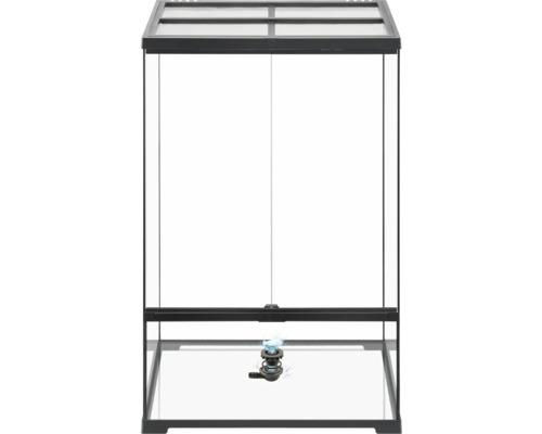 Terrarium avec système d'irrigation
