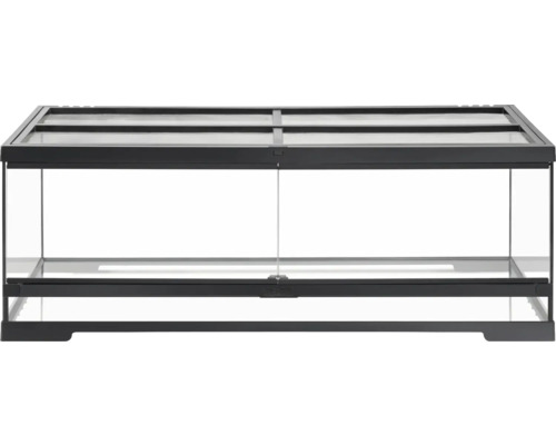 Terrarium en verre avec cadre noir