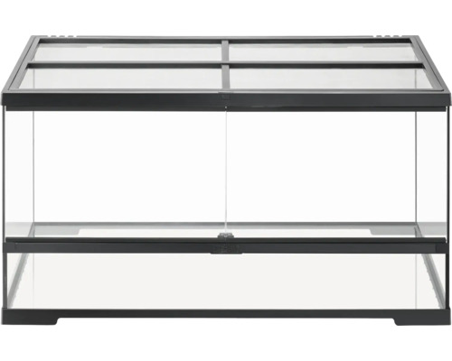 Terrarium vide en verre avec ventilation