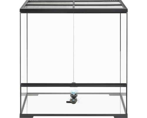 Terrarium en verre avec fontaine à eau