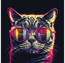 Portrait d'un chat portant des lunettes