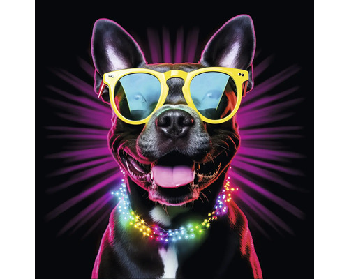 Glasbild Dogs With Sunglasses V 20x20 cm Porträt eines Hundes mit Sonnenbrille und Lichterkette