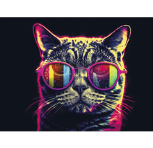 Katze mit Brille