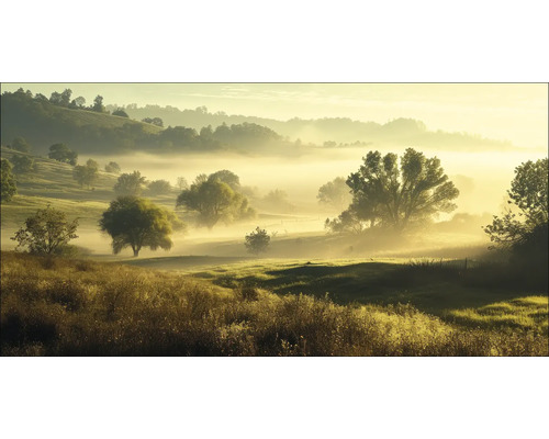 Leinwandbild Landscape In The Morning Mist I 100x50 cm Nebel liegt über einer hügeligen Landschaft mit Bäumen und Gras.