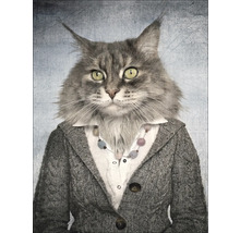 Porträt einer Katze im Strickjacken-Outfit