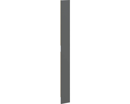 Porte d'armoire en gris