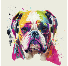 Illustration eines Hundes mit Kopfhörern und Brille