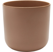 Blumentopf für Innenräume