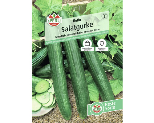 Sperli Bella Salatgurke Samenpackung