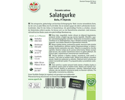 Samenpackung Salatgurke Bella F1-Hybride