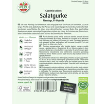 Paquet de graines de concombre à salade Flamingo F1-Hybride de Sperli