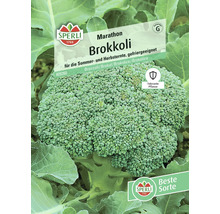 Marathon Brokkoli-Samenpackung