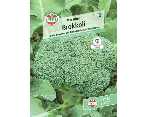 Marathon Brokkoli-Samenpackung