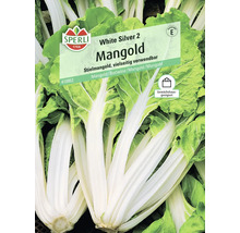 Sperli White Silver 2 Mangold Samenpackung