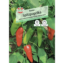 Graines de poivron pointu Kostas Sperli, plante robuste adaptée aux serres