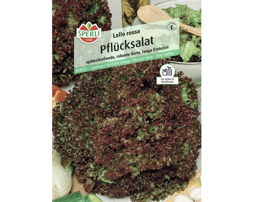 Sperli Lollo Rossa Pflücksalat Samenpackung