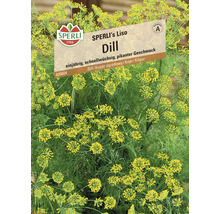 Sachet de graines d'aneth Liso Sperli