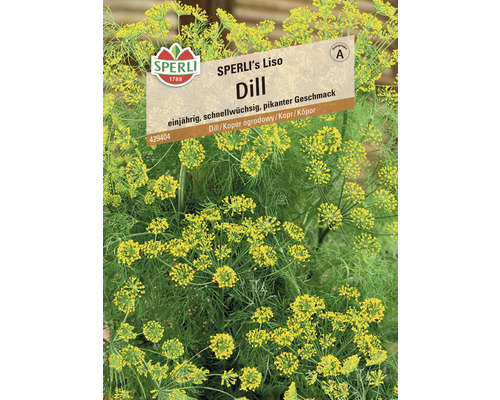 Sperli Dill Liso Samenpackung
